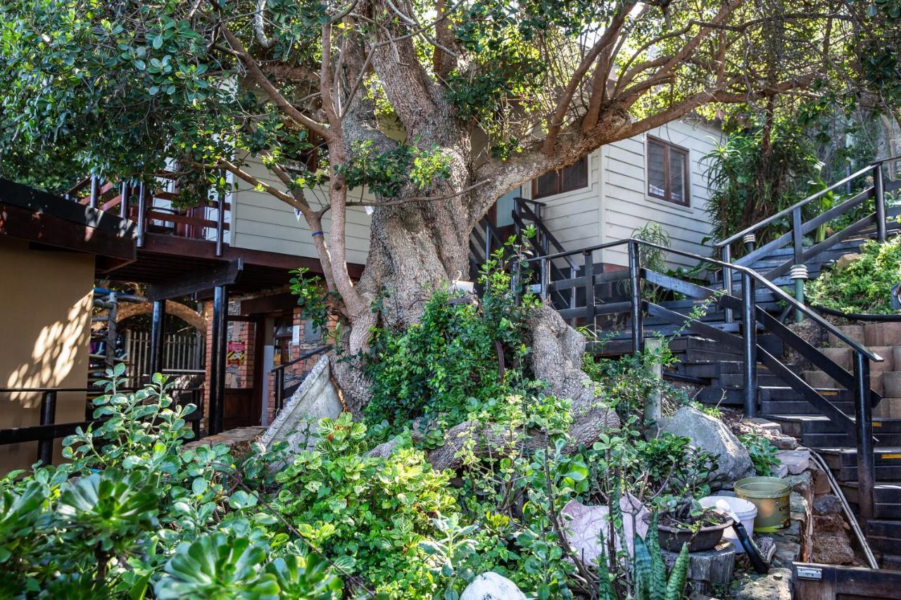 Wilderness Beach House Backpackers Lodge Exterior photo