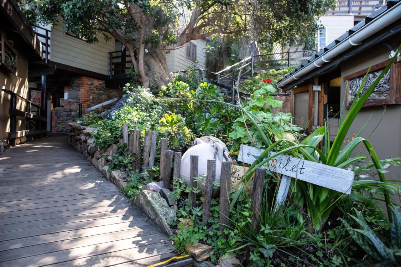 Wilderness Beach House Backpackers Lodge Exterior photo