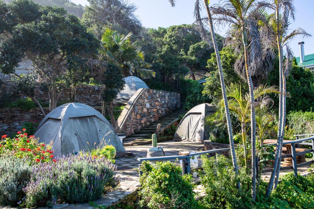 Wilderness Beach House Backpackers Lodge Exterior photo